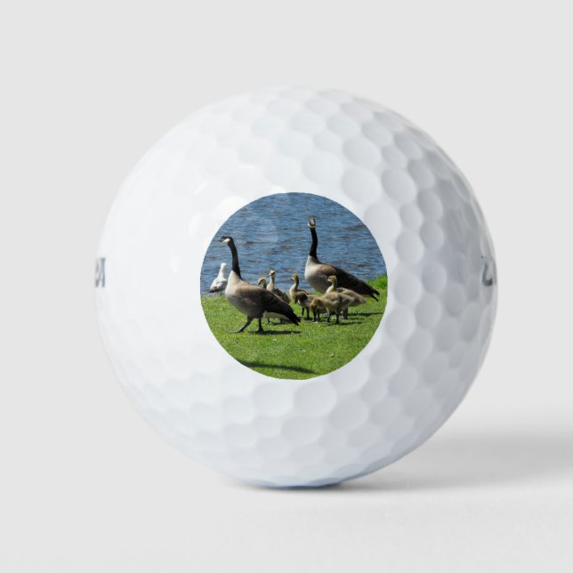 Kanada Gänse auf dem Gras von Water Golf Ball (Vorderseite)