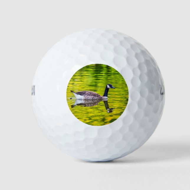 Kanada Gänse Golfball (Vorderseite)