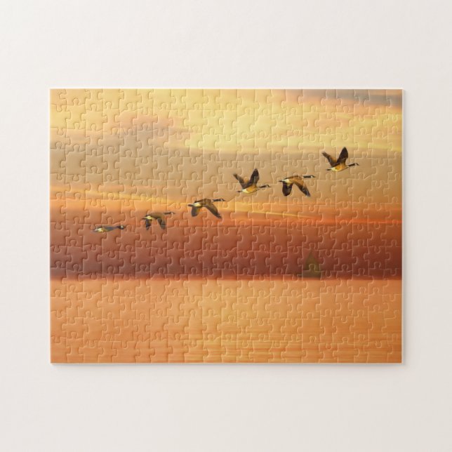 Kanada-Gänse im Flug am Sonnenuntergang (Horizontal)