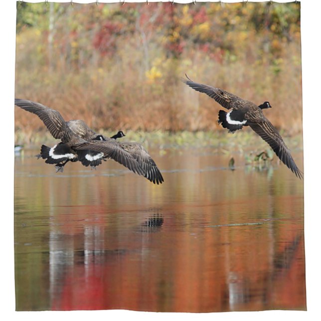 Kanada-Gänse im Flug Duschvorhang (Vorderseite)