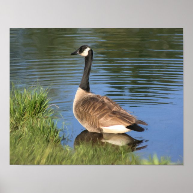 Kanada Gänse in Wasser-Öl-Malerei Poster (Vorne)