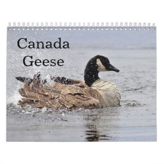 Kanada-Gänse Kalender
