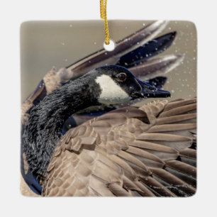 Kanada Gänse Keramikornament
