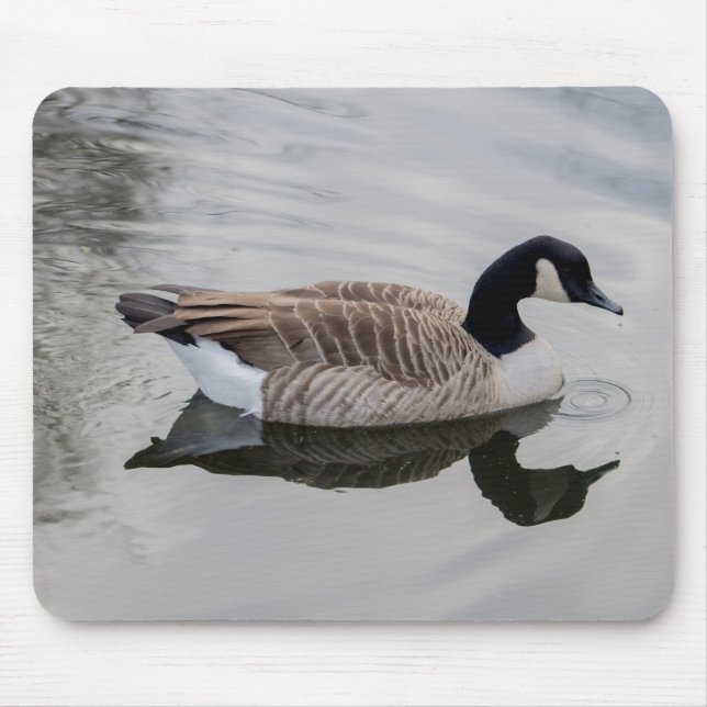 Kanada Gänse Mousepad (Vorne)