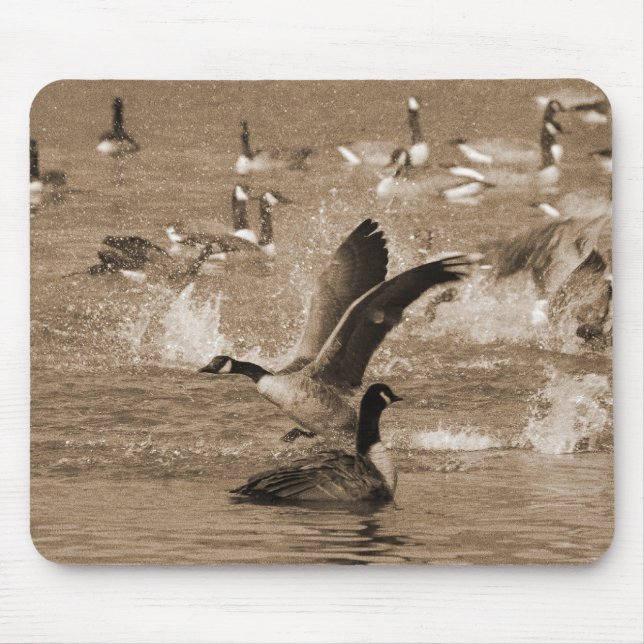 Kanada-Gänse Mousepad (Vorne)