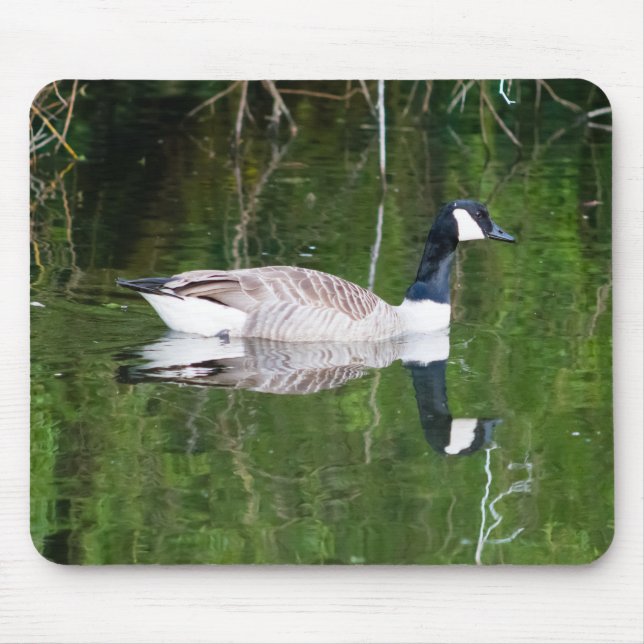 Kanada Gänse Mousepad (Vorne)