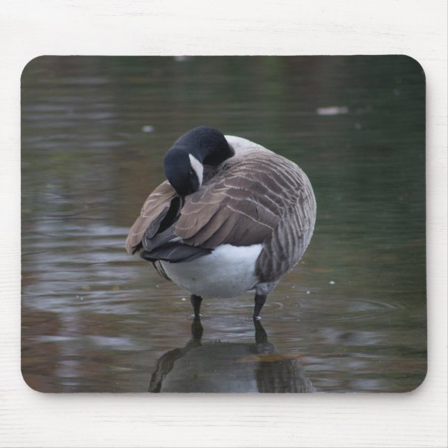 Kanada Gänse Mousepad (Vorne)