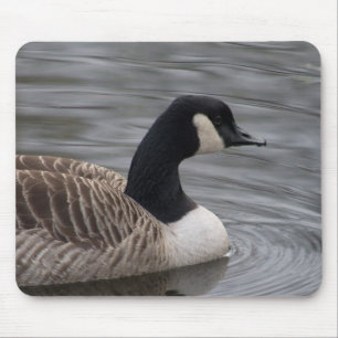 Kanada Gänse Mousepad