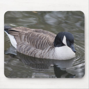 Kanada Gänse Mousepad