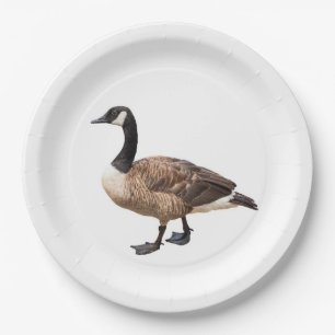 Kanada Gänse Pappteller