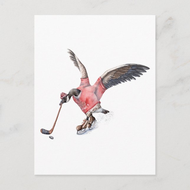 Kanada Gänse Playing Hockey Postkarte (Vorderseite)