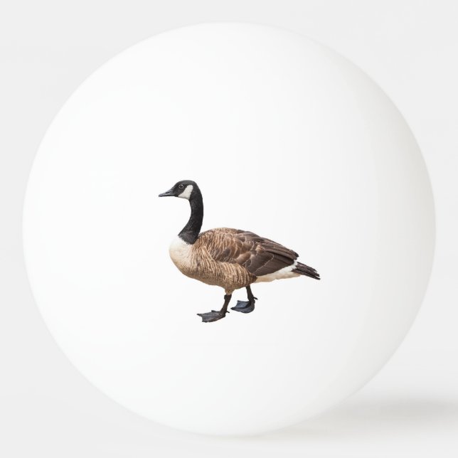Kanada Gänse Tischtennisball (Vorderseite)