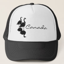 Kanada Gänse und Kanada Gänsehaut