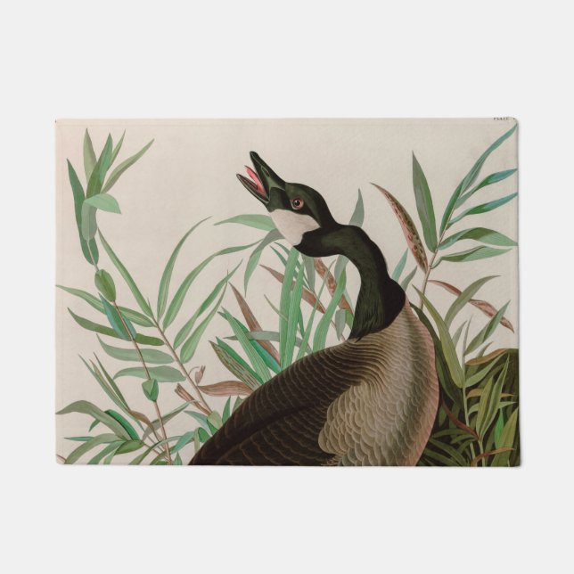 Kanada Gänse Vögel Amerika Audubon Print Fußmatte (Vorderseite)