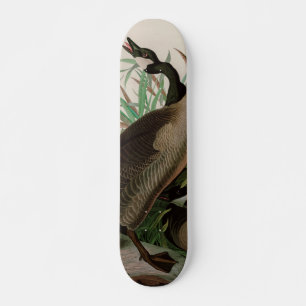 Kanada Gänse Vögel Amerika Audubon Print Skateboard