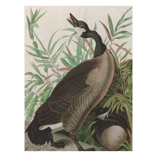 Kanada Gänse Vögel Amerika Audubon Print Tischdecke (Vorderseite)