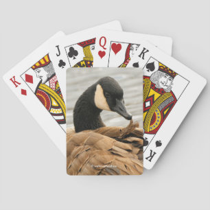 Kanada Gänseanbau am See Spielkarten