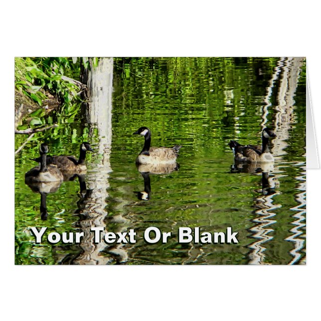 (Kanada) Gänsegrün (Vorderseite (Horizontal))