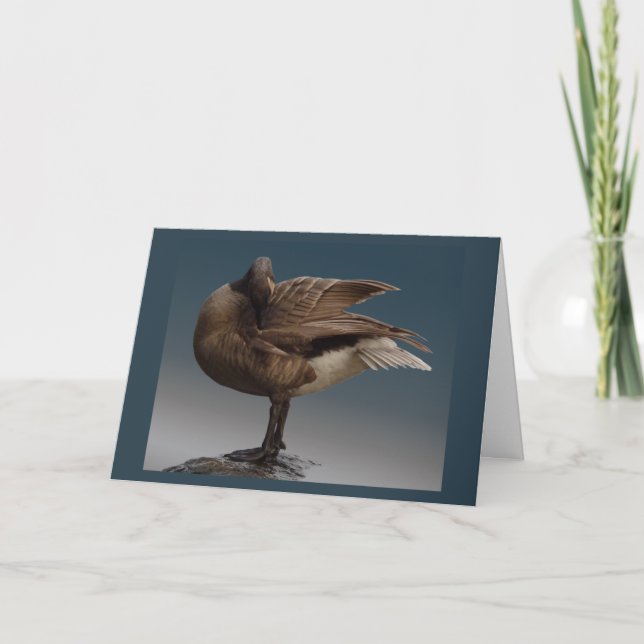Kanada Gänsekarten Kanada Grießkarten Karte (Vorderseite)