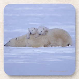 Kanada Getränkeuntersetzer