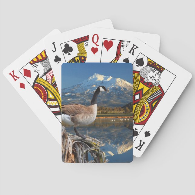 KANADA GOOSE AM SEE SPIELKARTEN (Rückseite)