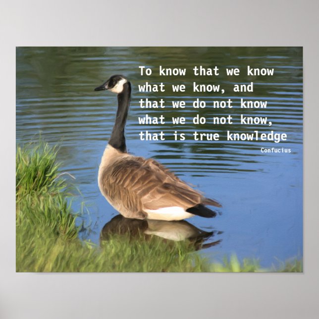 Kanada Goose Confucius Knowledge Quote Poster (Vorne)