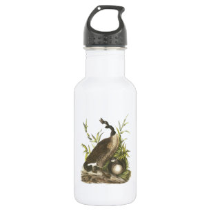 Kanada Goose von Audubon Edelstahlflasche