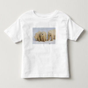 Kanada, Hudson Bay. Polarbärmutter mit zwei Kleinkind T-shirt