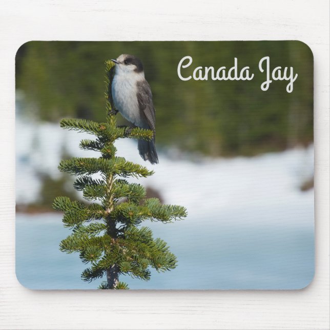 Kanada Jay Mousepad (Vorne)