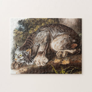 Kanada-Luchs (Lynx Canadensis) Illustration