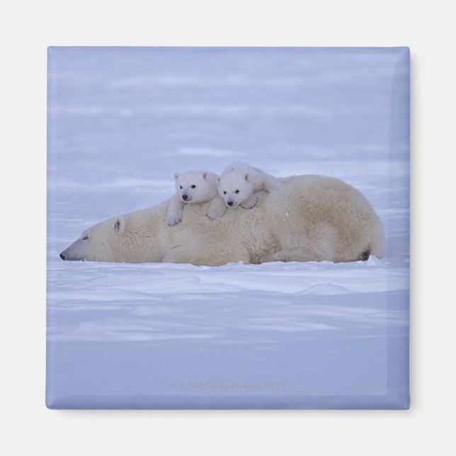 Kanada Magnet (Vorne)