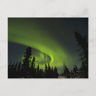 Kanada, Manitoba. Ansicht von Polarlichtern und Postkarte