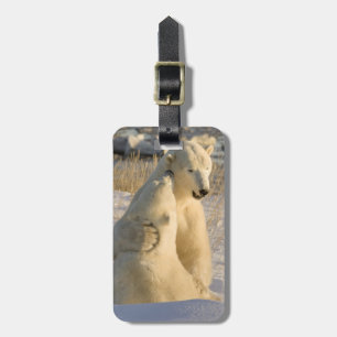 Kanada, Manitoba, Hudson Bay, Churchill. Gepäckanhänger