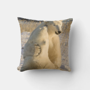 Kanada, Manitoba, Hudson Bay, Churchill. Kissen