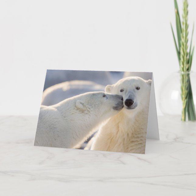 Kanada, Manitoba, Hudson Bay, Churchill. Polar Karte (Vorderseite)