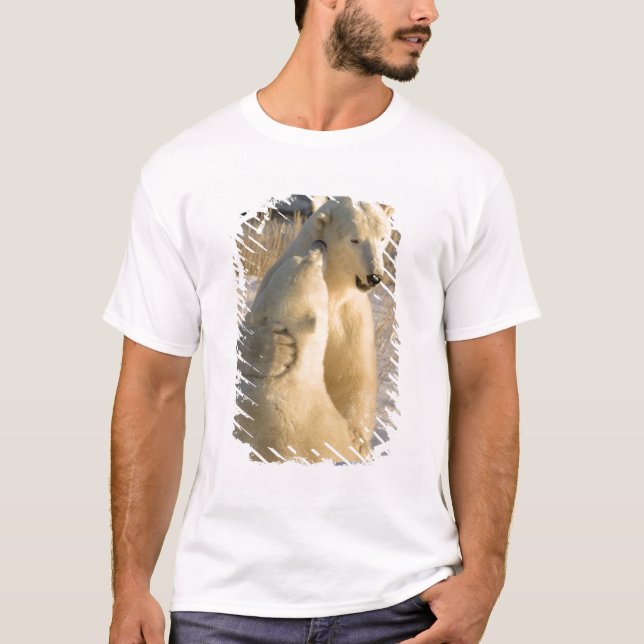 Kanada, Manitoba, Hudson Bay, Churchill. T-Shirt (Vorderseite)