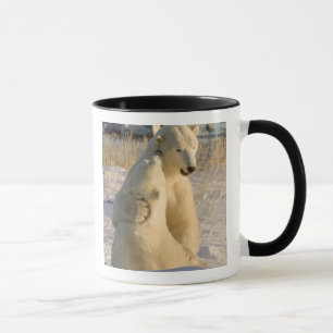Kanada, Manitoba, Hudson Bay, Churchill. Tasse