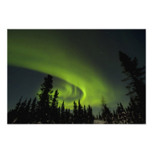 Kanada, Manitoba. Sicht auf die Meeresschildkröte Fotodruck