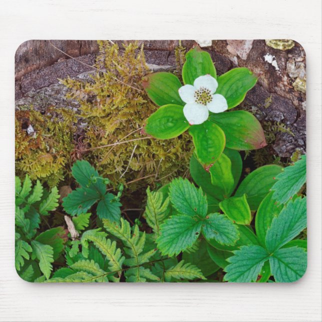 Kanada, New Brunswick, ,  2 Mousepad (Vorne)