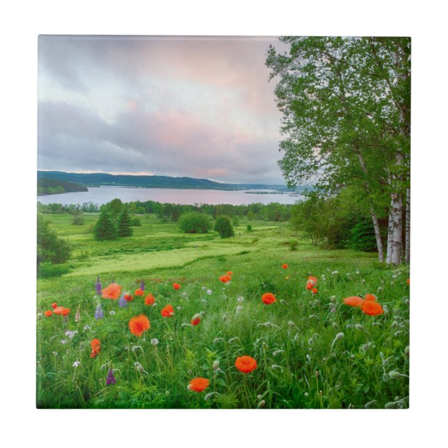 Kanada, New Brunswick, ,  3 Fliese (Vorderseite)