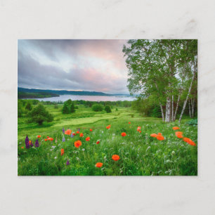 Kanada, New Brunswick, 3 Postkarte