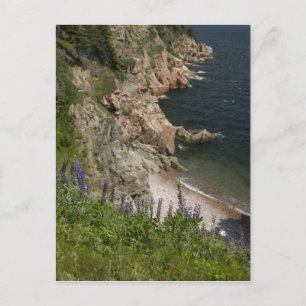 Kanada, Nova Scotia, Cape Breton Island, Cabot 3 Postkarte