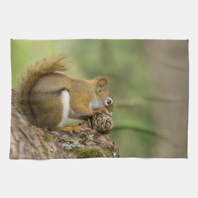 Kanada, Nova Scotia, Halifax. Öffentliche Gärten, Geschirrtuch (Horizontal)