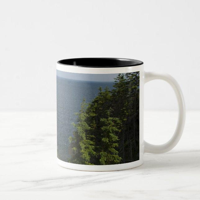 Kanada, Nova Scotia, Kapbreton Island, Cabot Zweifarbige Tasse (Rechts)