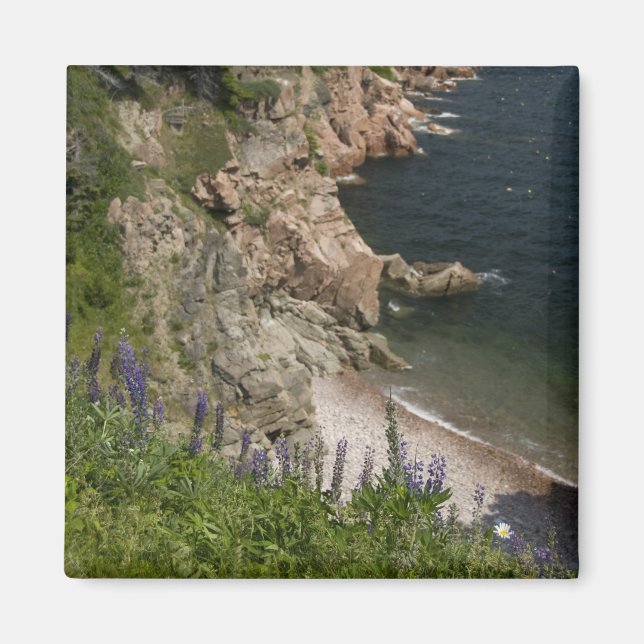 Kanada, Nova Scotia, Kapbretonische Insel, Cabot 3 Magnet (Vorne)