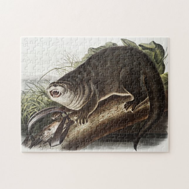 Kanada-Otter-Illustration (Lutra Canadensis) (Horizontal)