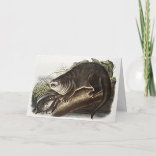 Kanada-Otter-Illustration (Lutra Canadensis) Karte
