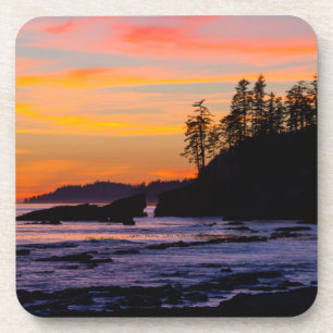 Kanada, Pacific Rim National Park Reserve, West Untersetzer