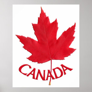 Kanada Poster Canada Maple Leaf Souvenir Print