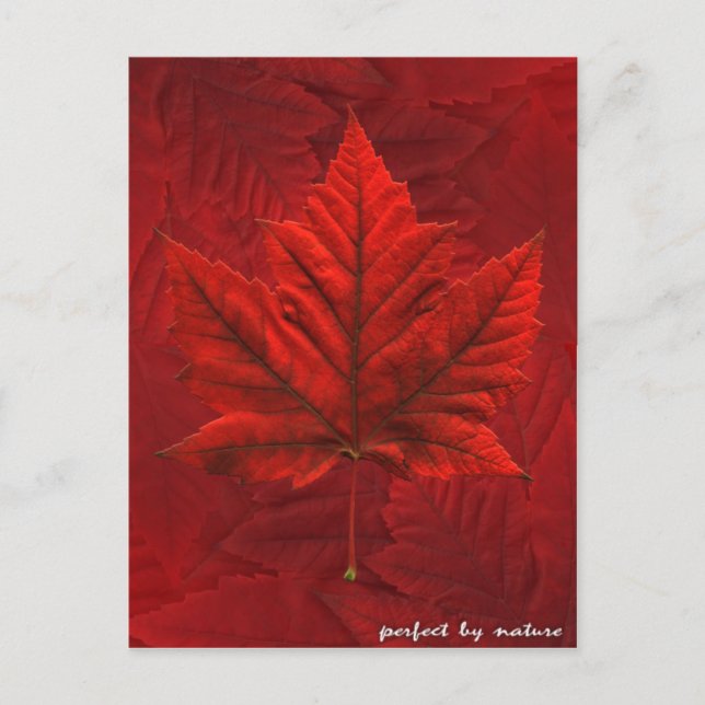 Kanada Postkarten Custom Canada Souvenir Postkarte (Vorderseite)